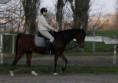 /album/csibesz/mg-9439a-jpg/