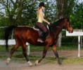 /album/csibesz/mg-0050at-jpg/