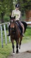 /album/csibesz/mg-0139at-jpg/