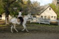 /album/jussuf/img-5168-jpg/
