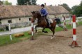 /album/csibesz/img-5101-jpg/