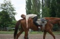 /album/tabor-2014/img-6781-jpg/