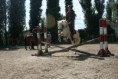 /album/tabor-2013/img-3398-jpg/